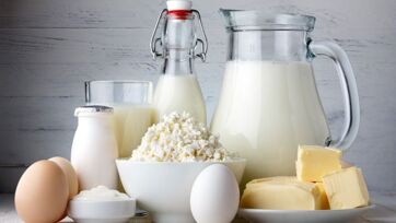Beyond the Glass: Daily Dairy Benefits of Milk, Yogurt, and Cheese for Kids