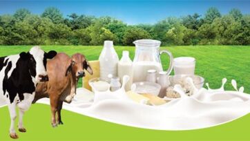 The Power of a Glass: Daily Milk Benefits for Growing Kids